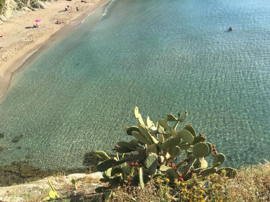 Le Lanterne Di Terrasini Hotel Kültér fotó